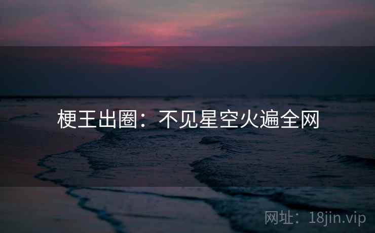 梗王出圈：不见星空火遍全网